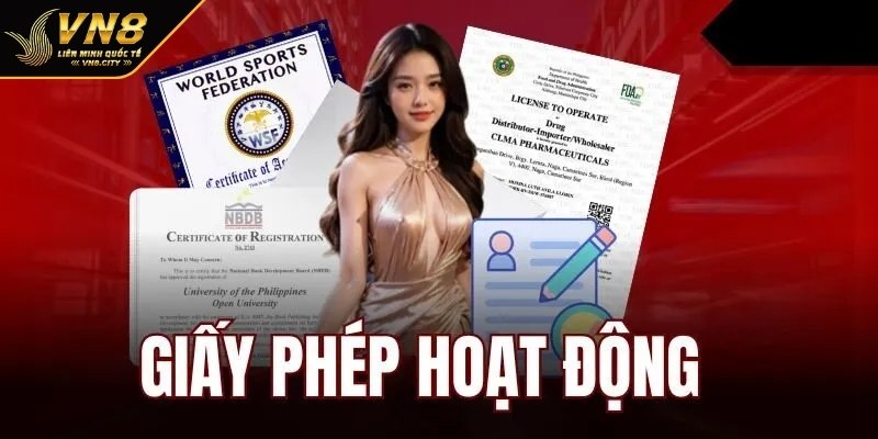 Các vấn đề liên quan đến loại giấy phép này